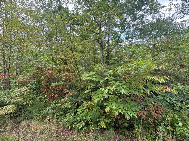 $34,000 | Lot 67 Mason Creek Lane, Murphy, NC 28906