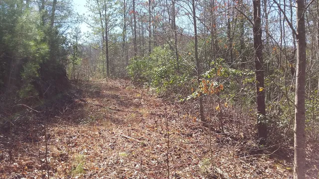 $34,000 | Lot 67 Mason Creek Lane, Murphy, NC 28906