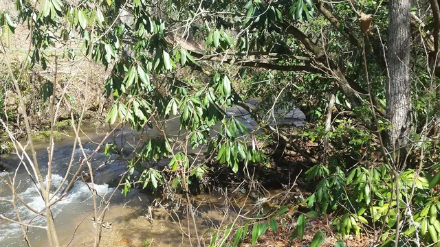 $34,000 | Lot 67 Mason Creek Lane, Murphy, NC 28906