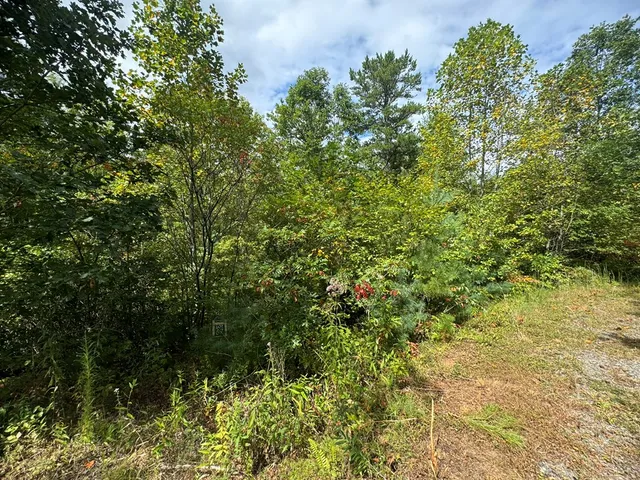 $34,000 | Lot 67 Mason Creek Lane, Murphy, NC 28906