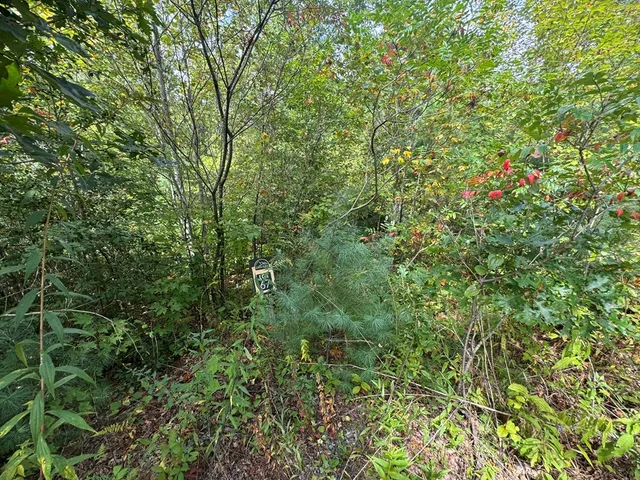 $34,000 | Lot 67 Mason Creek Lane, Murphy, NC 28906