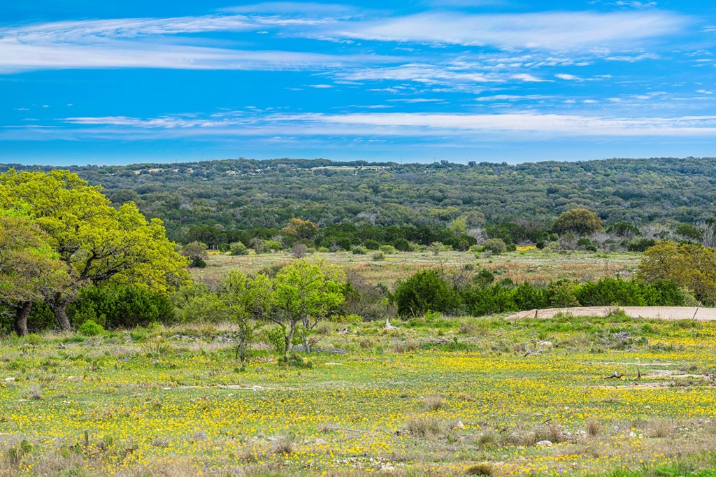 141 Spring Bluff Junction, TX 76849 - Photo 7 of 16 a view of a lake with a houses