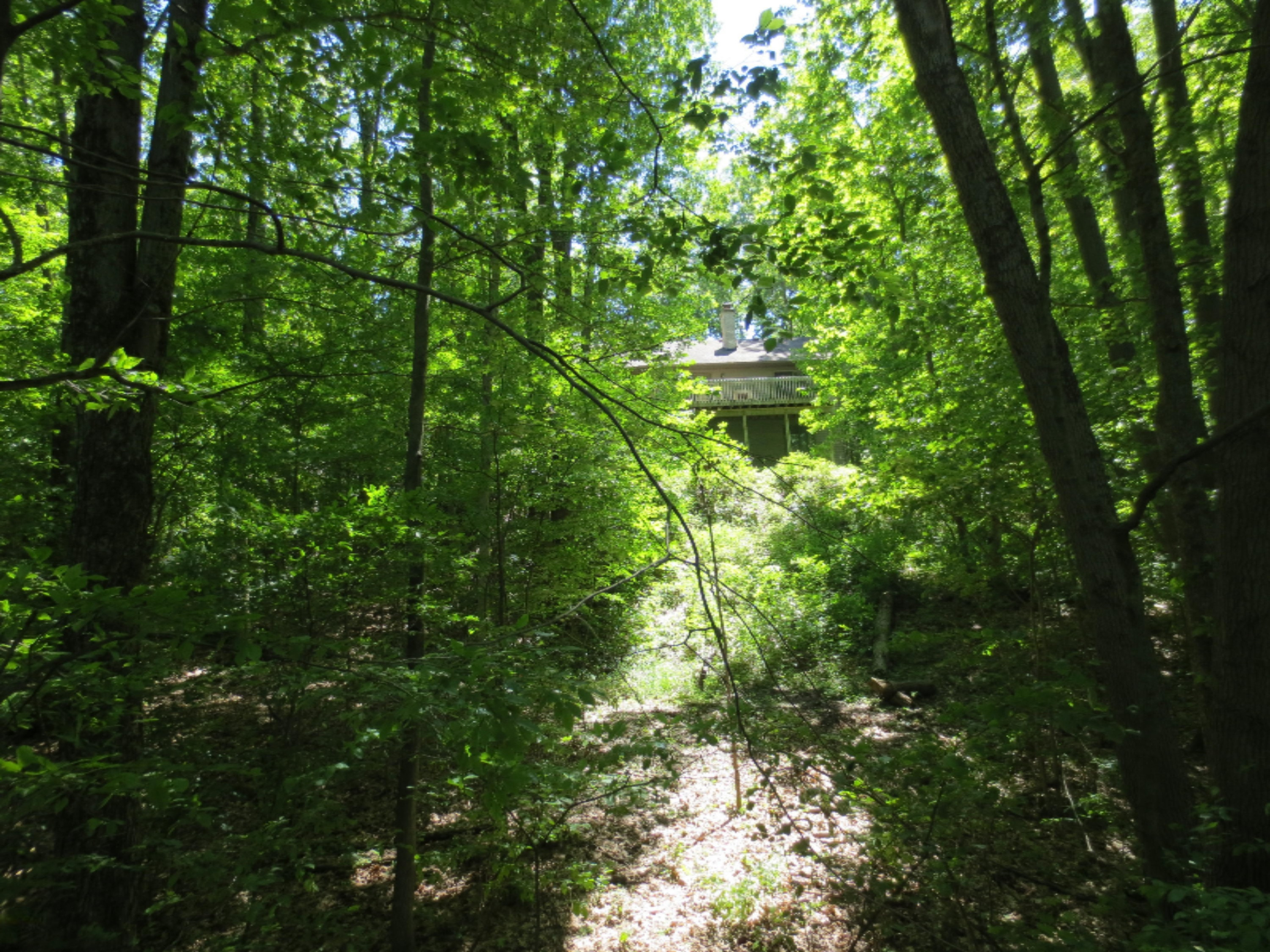 6850 West Garbow Road Middleville, MI 49333 - Photo 11 of 21 IMG_0982