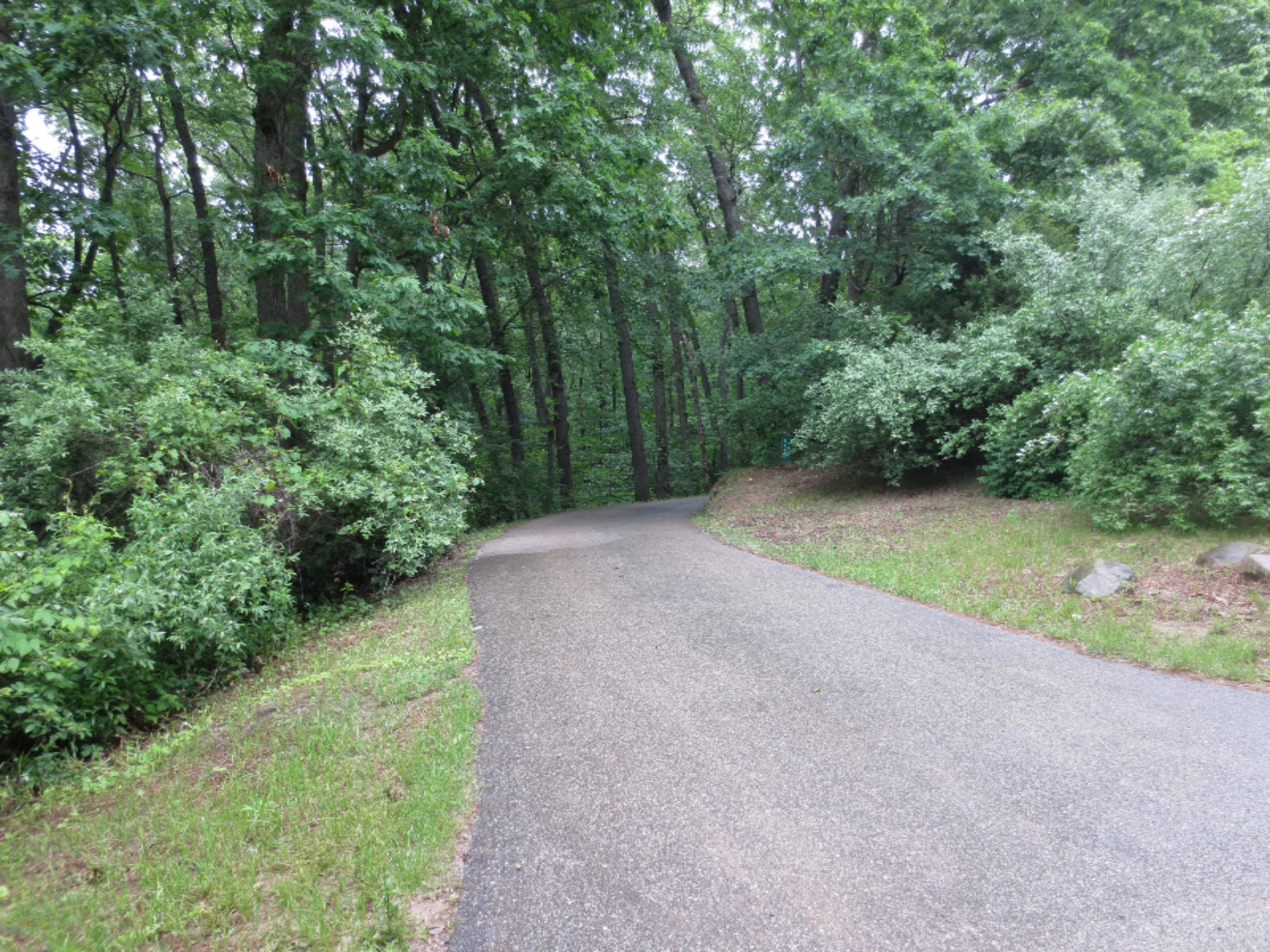 6850 West Garbow Road Middleville, MI 49333 - Photo 10 of 21 IMG_1000