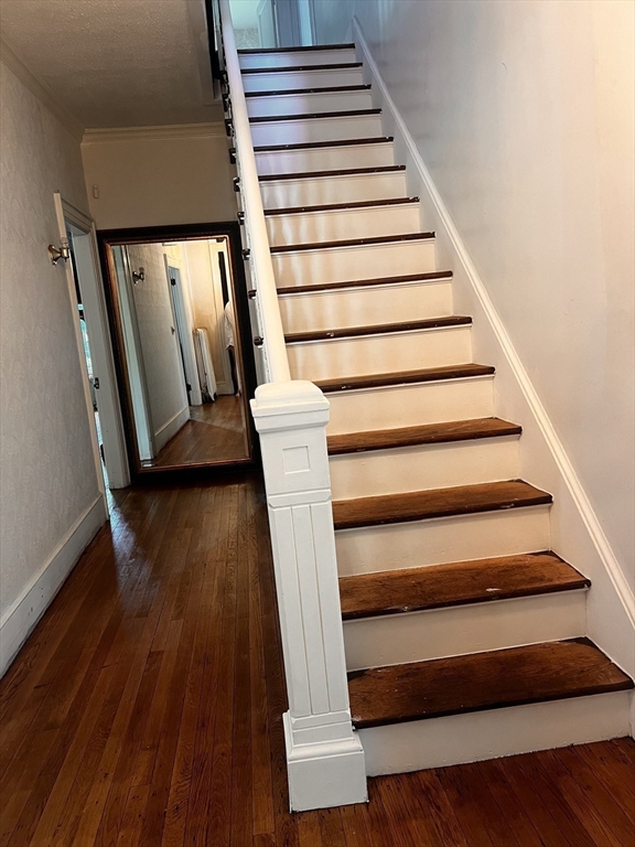186 Buckingham Street Springfield, MA 01109 - Photo 3 of 42