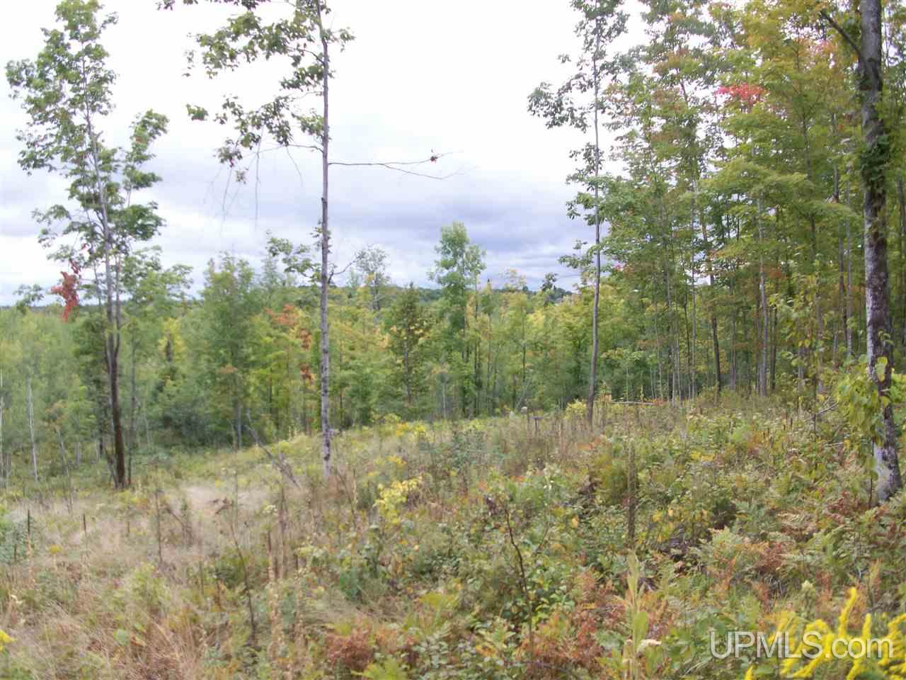 Tbd Fordville Road Foster City, MI 49807 - Photo 9 of 18
