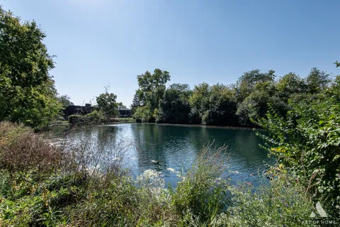 a view of a pathway of a park