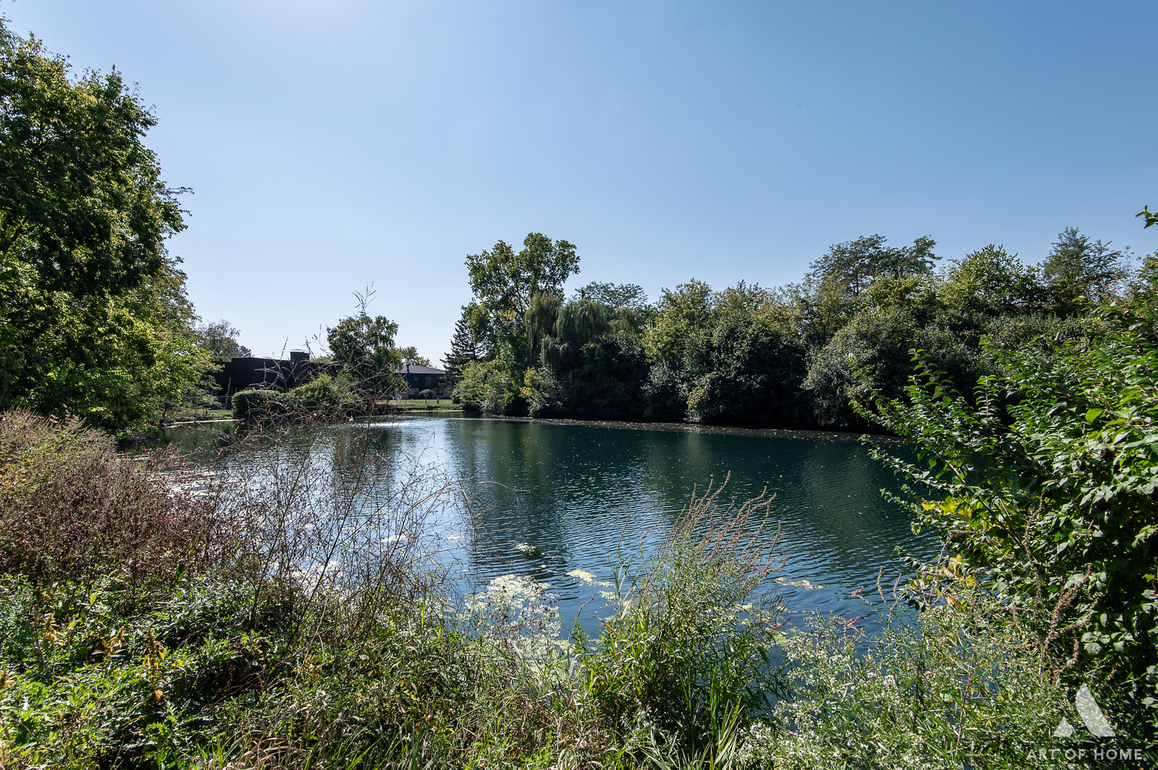 835 Waterview Circle, Unit 2 Vernon Hills, IL 60061 - Photo 27 of 30 a view of a lake in middle of forest