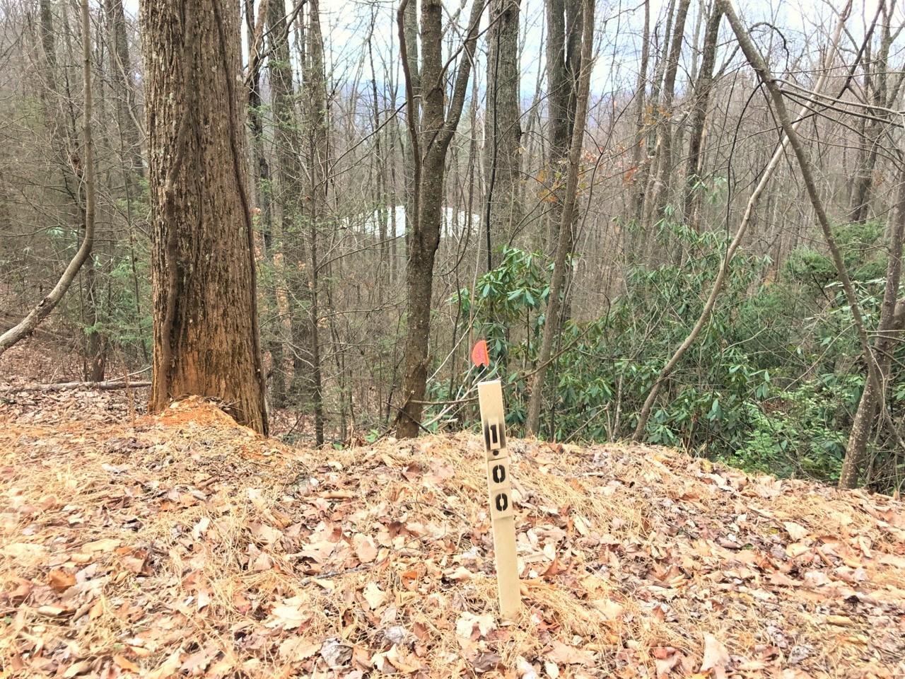 - Green Forest Road Cosby, TN 37722 - Photo 1 of 4 1ac