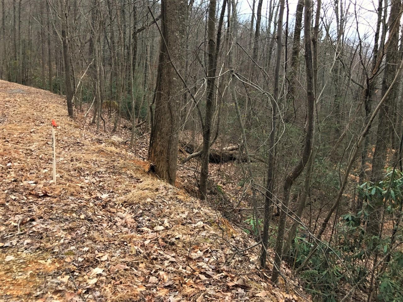 - Green Forest Road Cosby, TN 37722 - Photo 2 of 4 1ac ( D)