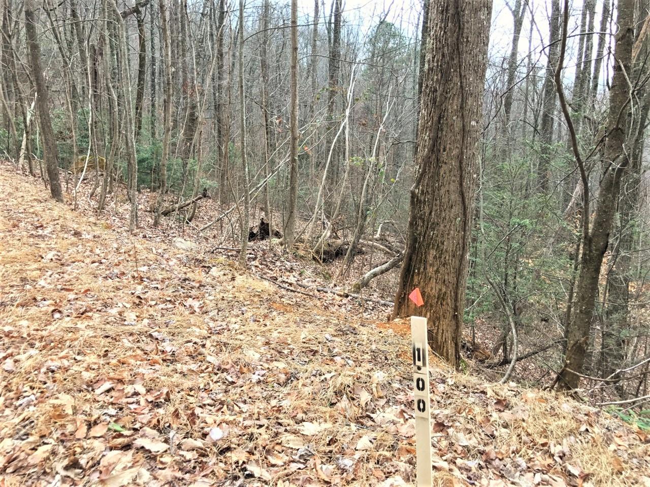 - Green Forest Road Cosby, TN 37722 - Photo 3 of 4 1ac(b)