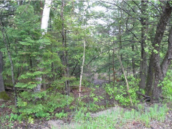 0 Leighton Hill Road Wells River, VT 05081 - Photo 1 of 1 Gallery Image 1