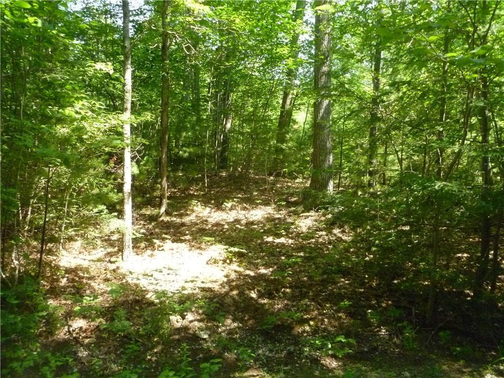 4 Ellis Lane York, ME 03902 - Photo 6 of 8 Corner of lot at ROW and point where...