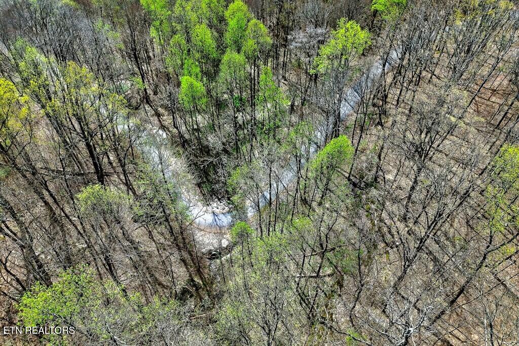 0 White Oak Flatt Road, Unit 178 CHO Sparta, TN 38583 - Photo 11 of 31 gen11