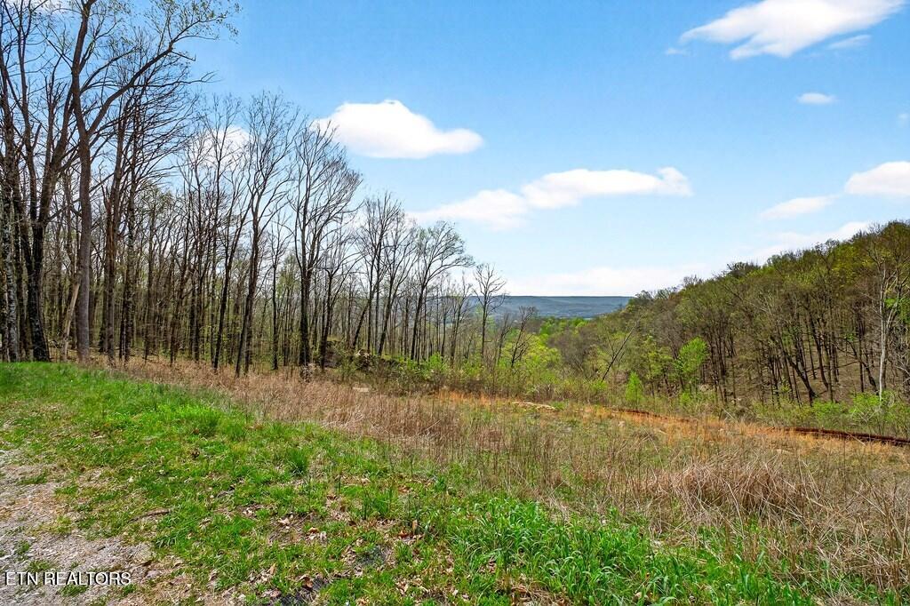 0 White Oak Flatt Road, Unit 178 CHO Sparta, TN 38583 - Photo 12 of 31 gen13