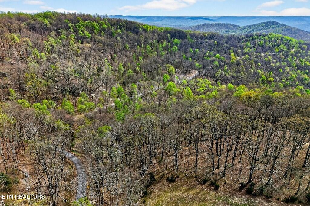 0 White Oak Flatt Road, Unit 178 CHO Sparta, TN 38583 - Photo 13 of 31 gen14