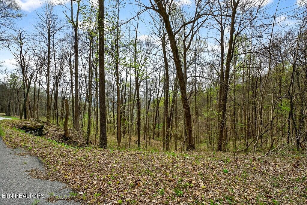0 White Oak Flatt Road, Unit 178 CHO Sparta, TN 38583 - Photo 14 of 31 gen15