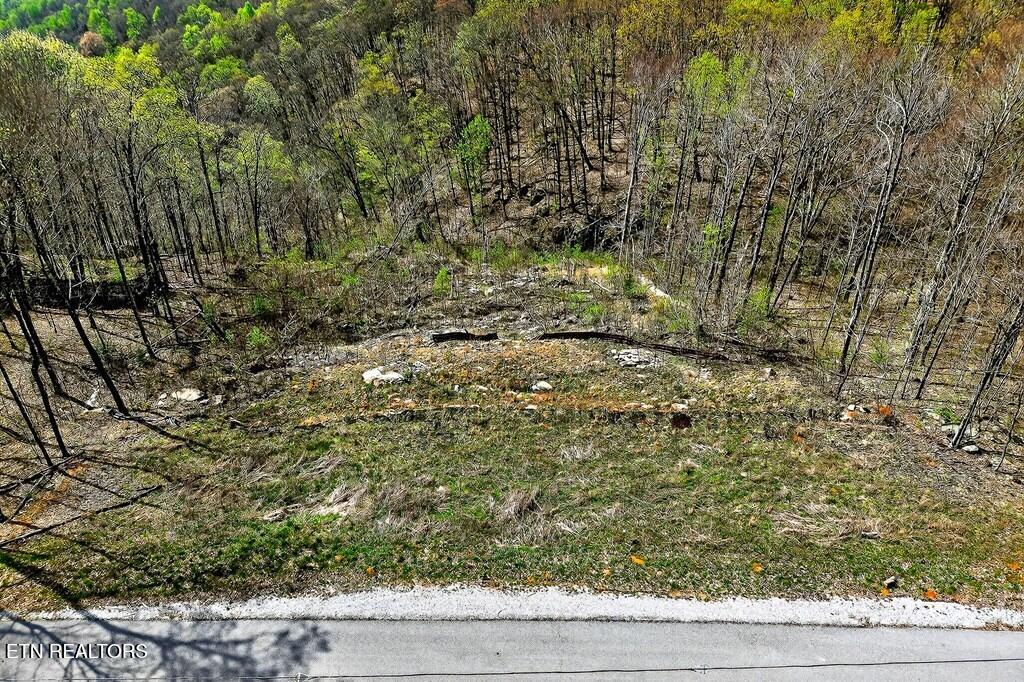 0 White Oak Flatt Road, Unit 178 CHO Sparta, TN 38583 - Photo 15 of 31 gen16