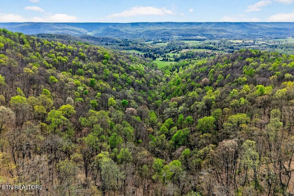 0 White Oak Flatt Road, Unit 178 CHO Sparta, TN 38583 - Photo 16 of 31 gen17