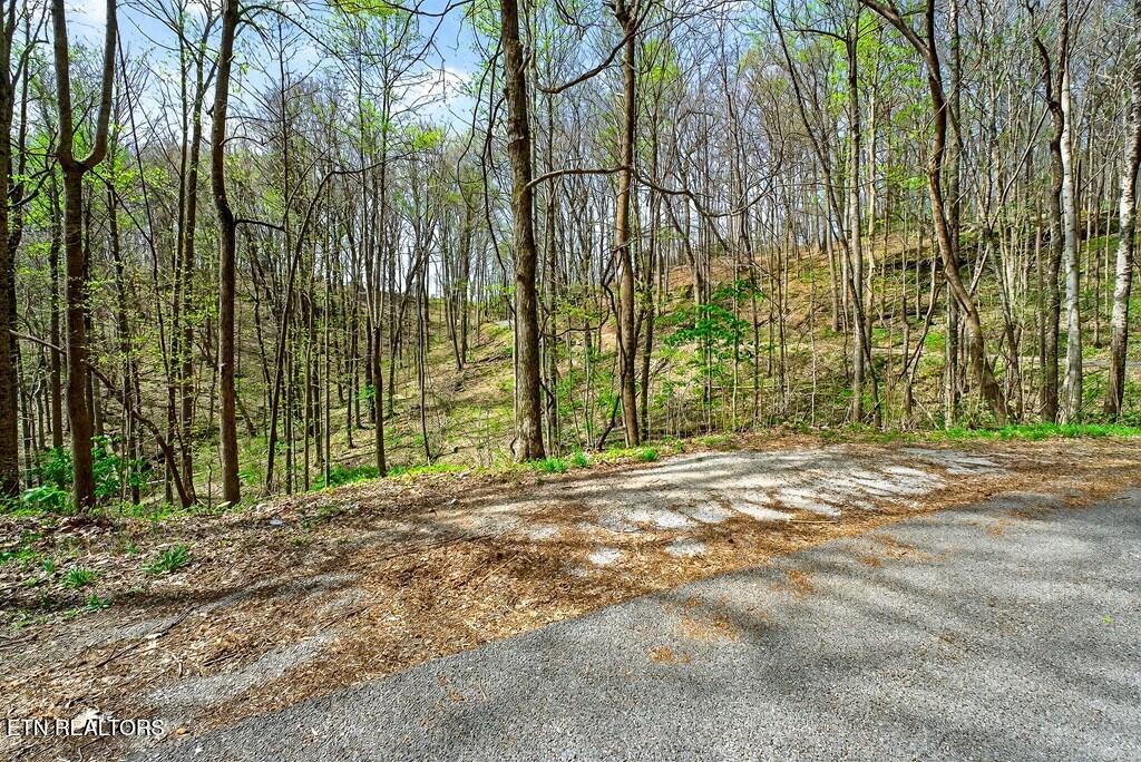 0 White Oak Flatt Road, Unit 178 CHO Sparta, TN 38583 - Photo 19 of 31 gen20