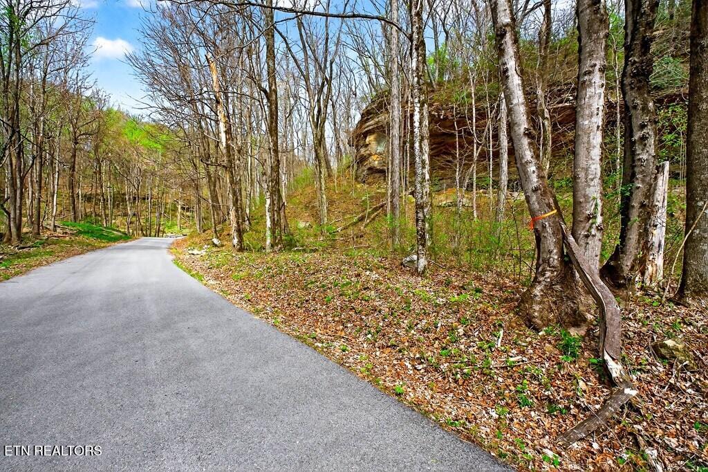 0 White Oak Flatt Road, Unit 178 CHO Sparta, TN 38583 - Photo 21 of 31 gen22