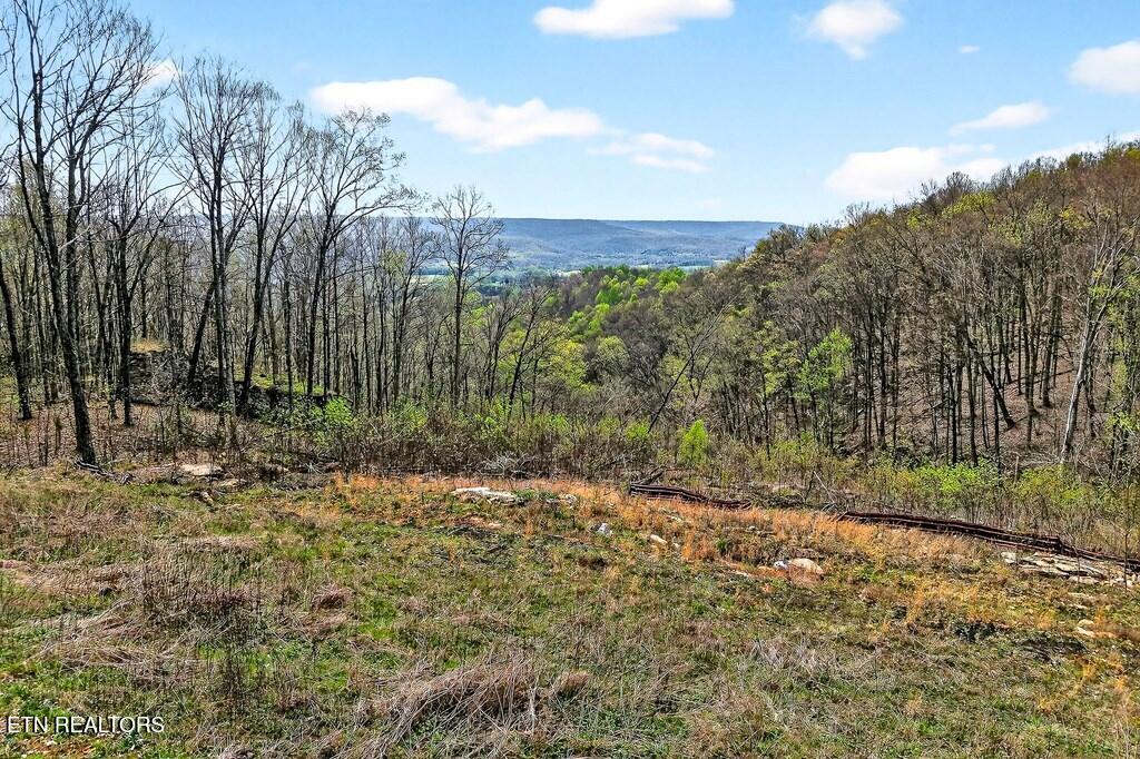 0 White Oak Flatt Road, Unit 178 CHO Sparta, TN 38583 - Photo 22 of 31 gen23