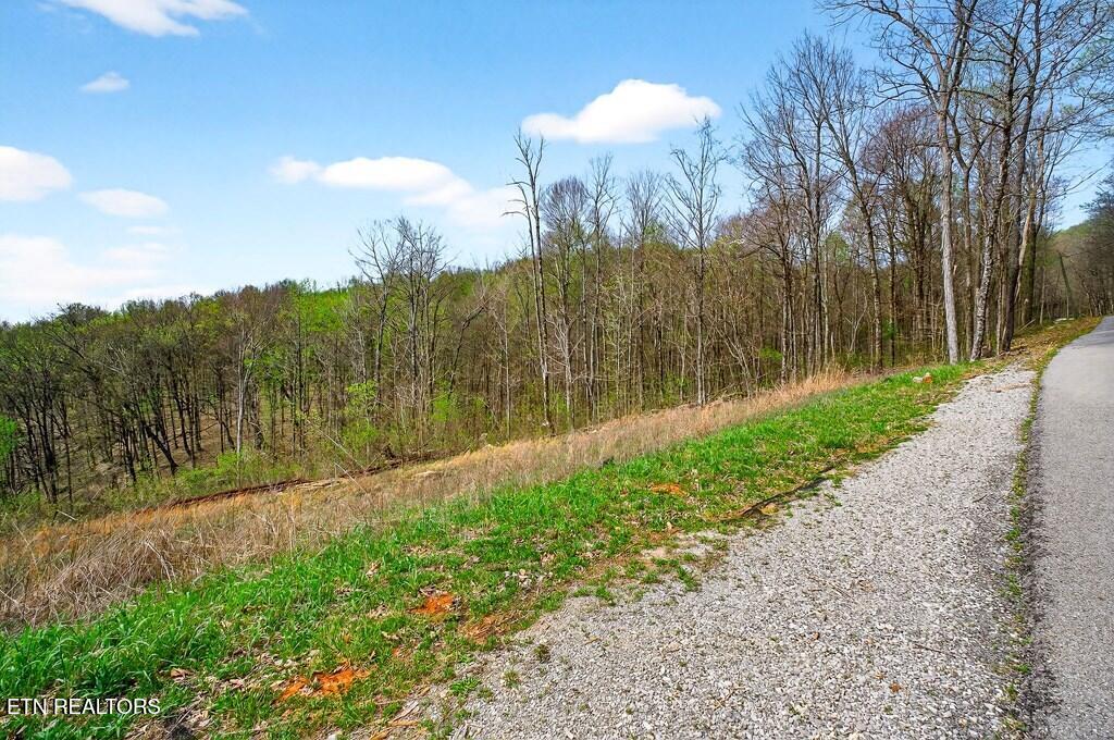 0 White Oak Flatt Road, Unit 178 CHO Sparta, TN 38583 - Photo 23 of 31 gen24