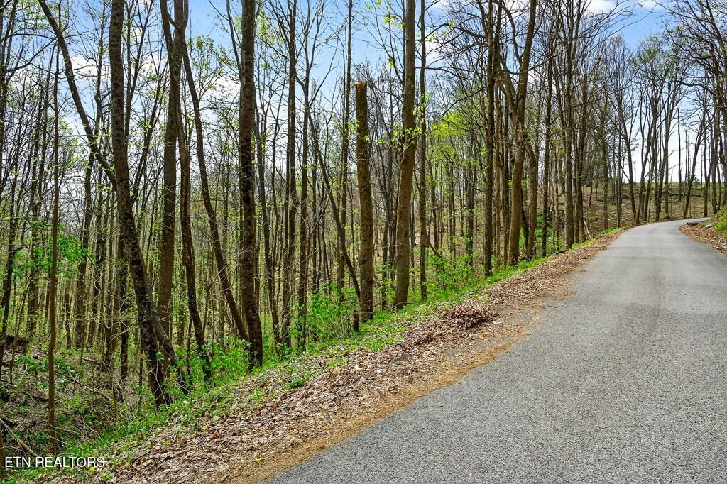 0 White Oak Flatt Road, Unit 178 CHO Sparta, TN 38583 - Photo 24 of 31 gen25
