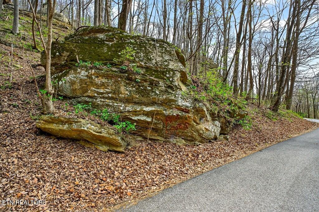 0 White Oak Flatt Road, Unit 178 CHO Sparta, TN 38583 - Photo 25 of 31 gen26