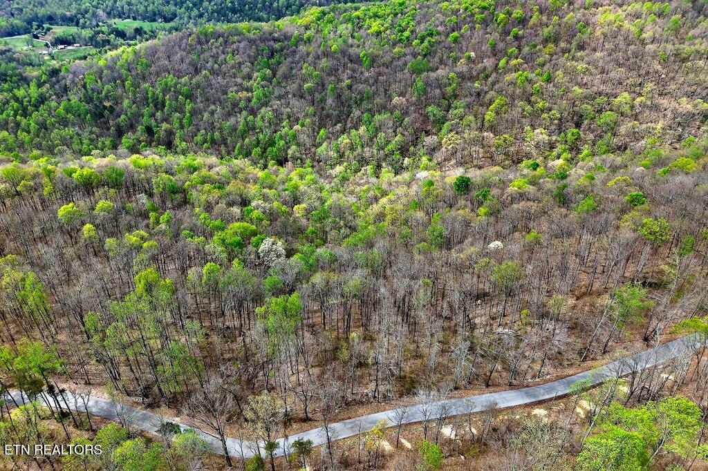0 White Oak Flatt Road, Unit 178 CHO Sparta, TN 38583 - Photo 28 of 31 gen29