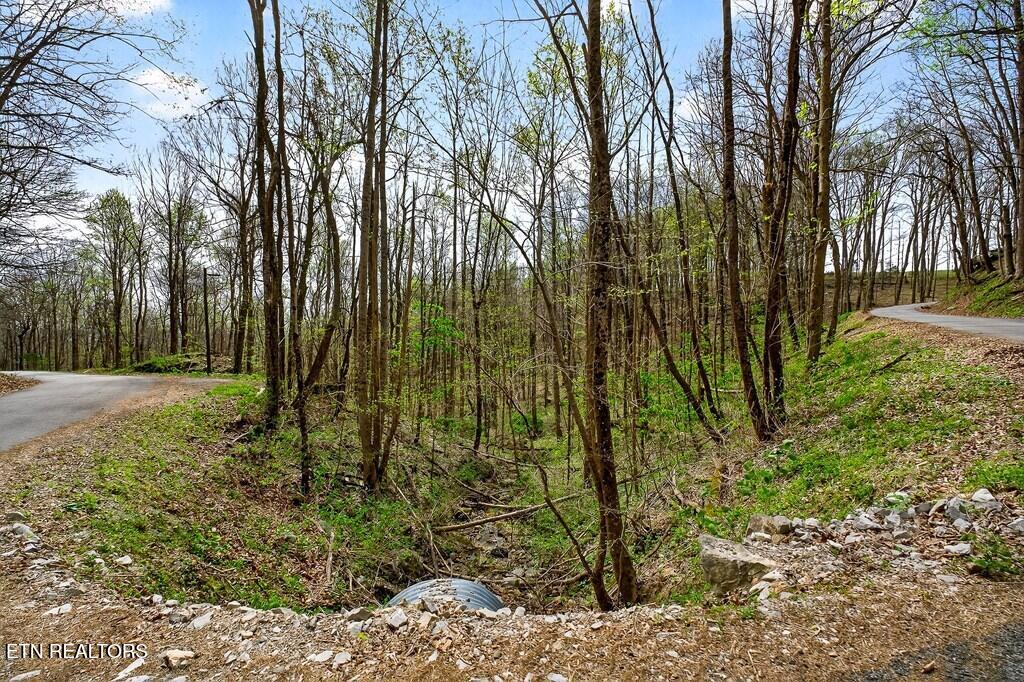 0 White Oak Flatt Road, Unit 178 CHO Sparta, TN 38583 - Photo 30 of 31 gen31
