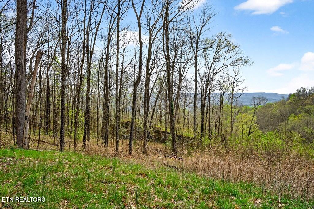 0 White Oak Flatt Road, Unit 178 CHO Sparta, TN 38583 - Photo 3 of 31 gen3