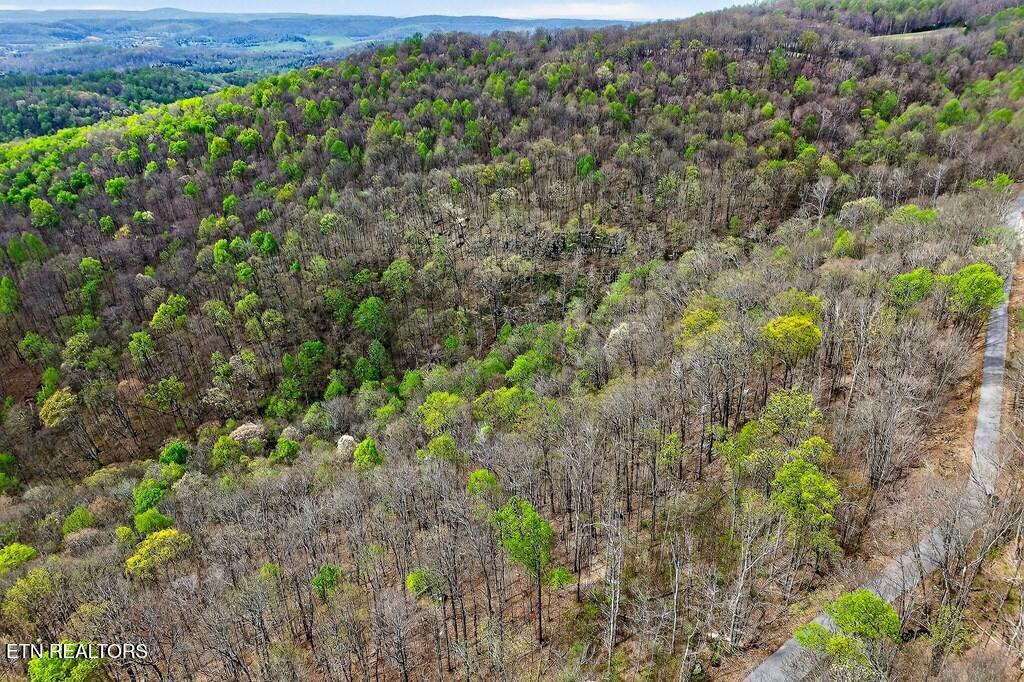 0 White Oak Flatt Road, Unit 178 CHO Sparta, TN 38583 - Photo 31 of 31 gen32