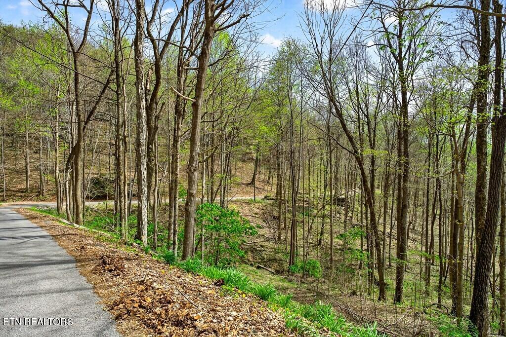 0 White Oak Flatt Road, Unit 178 CHO Sparta, TN 38583 - Photo 4 of 31 gen4