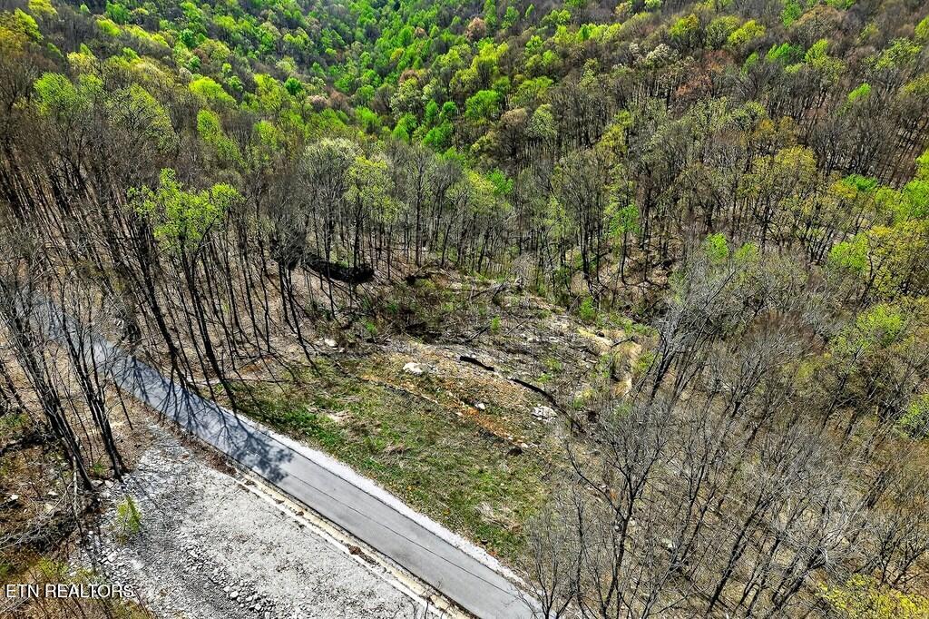 0 White Oak Flatt Road, Unit 178 CHO Sparta, TN 38583 - Photo 6 of 31 gen6