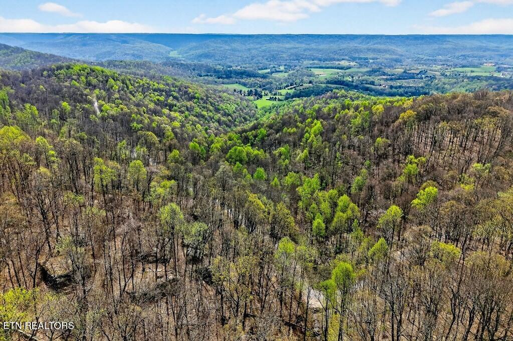 0 White Oak Flatt Road, Unit 178 CHO Sparta, TN 38583 - Photo 7 of 31 gen7
