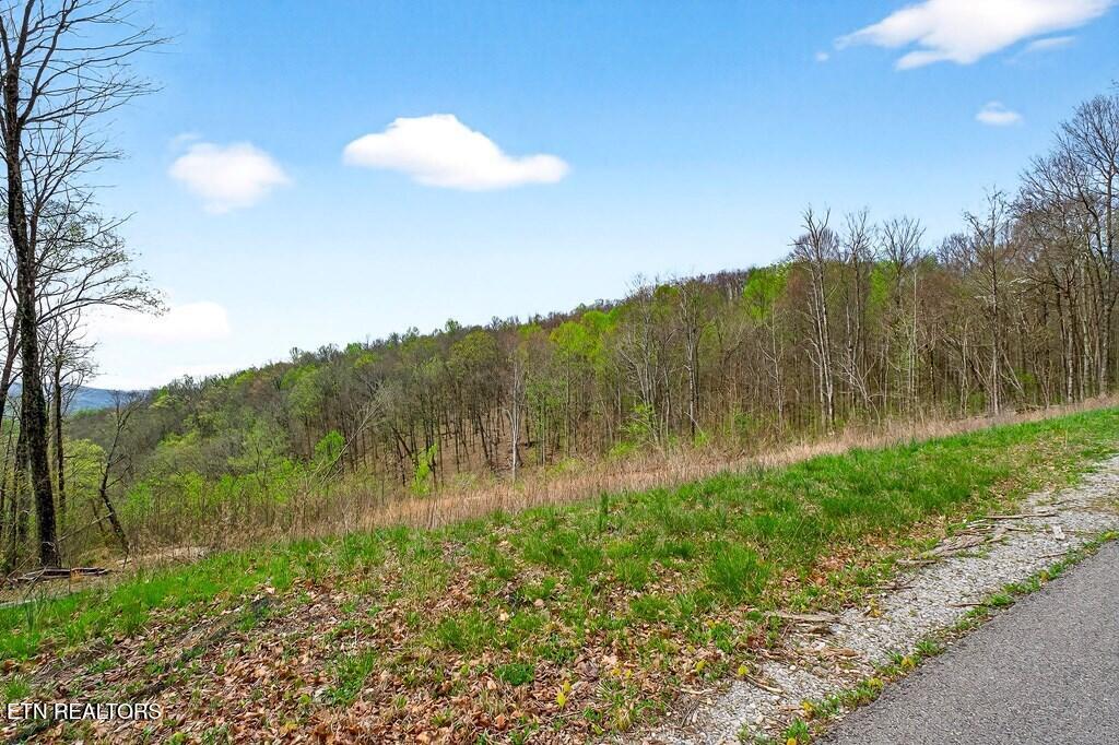 0 White Oak Flatt Road, Unit 178 CHO Sparta, TN 38583 - Photo 8 of 31 gen8