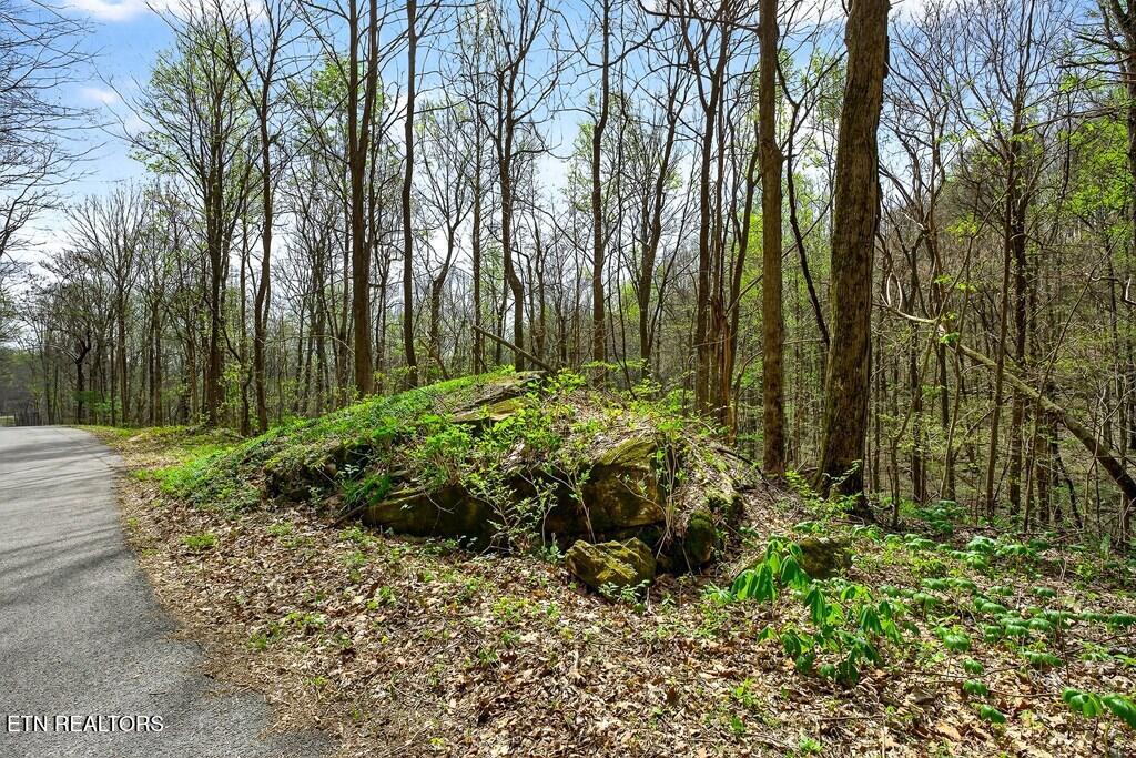 0 White Oak Flatt Road, Unit 178 CHO Sparta, TN 38583 - Photo 9 of 31 gen9