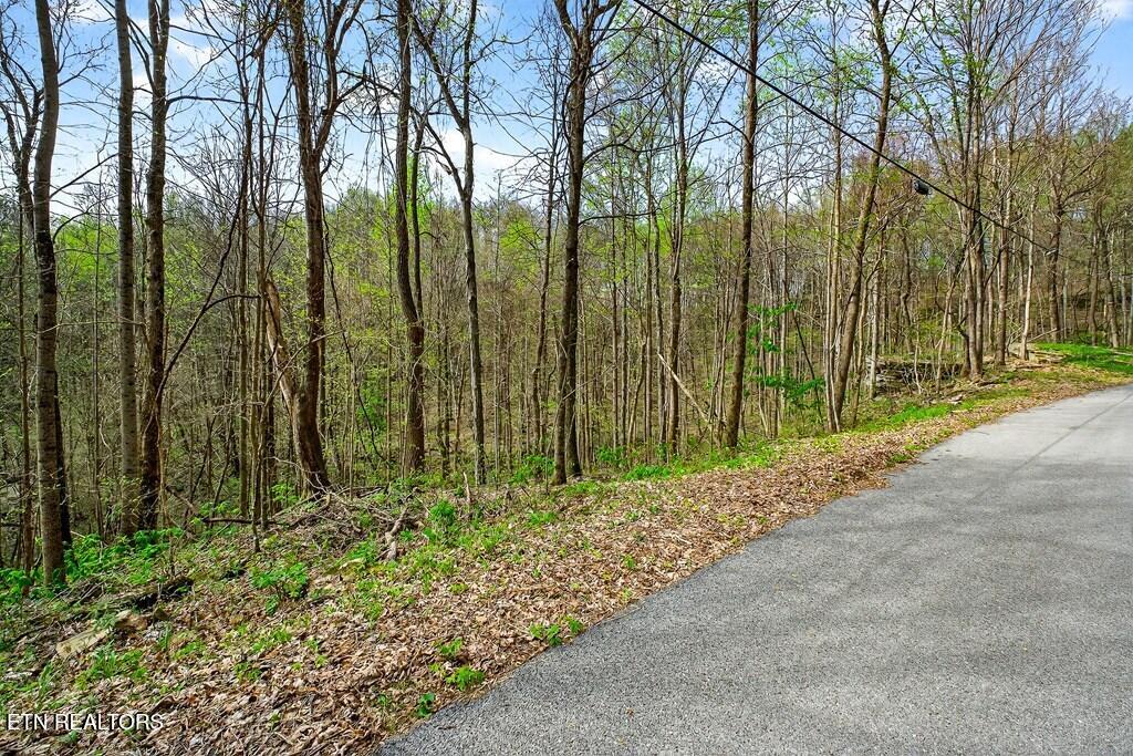 0 White Oak Flatt Road, Unit 178 CHO Sparta, TN 38583 - Photo 10 of 31 gen10