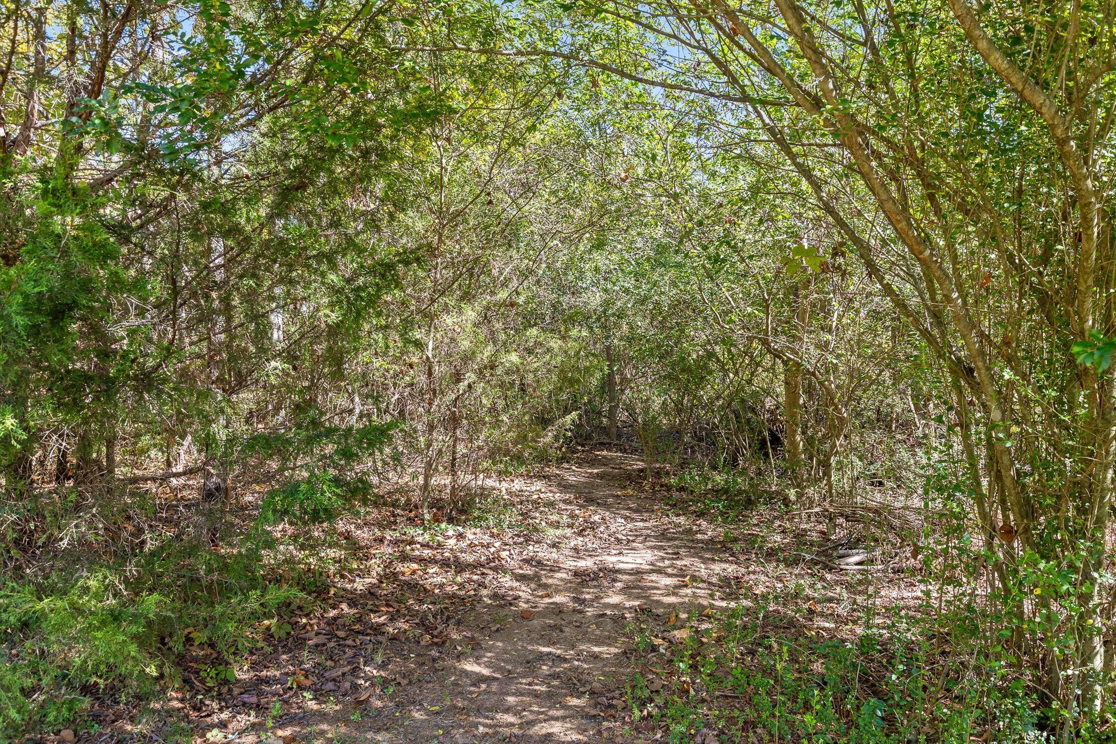 453 Harvest Lane Rock Spring, GA 30739 - Photo 92 of 93 15-Harvest Ln-79