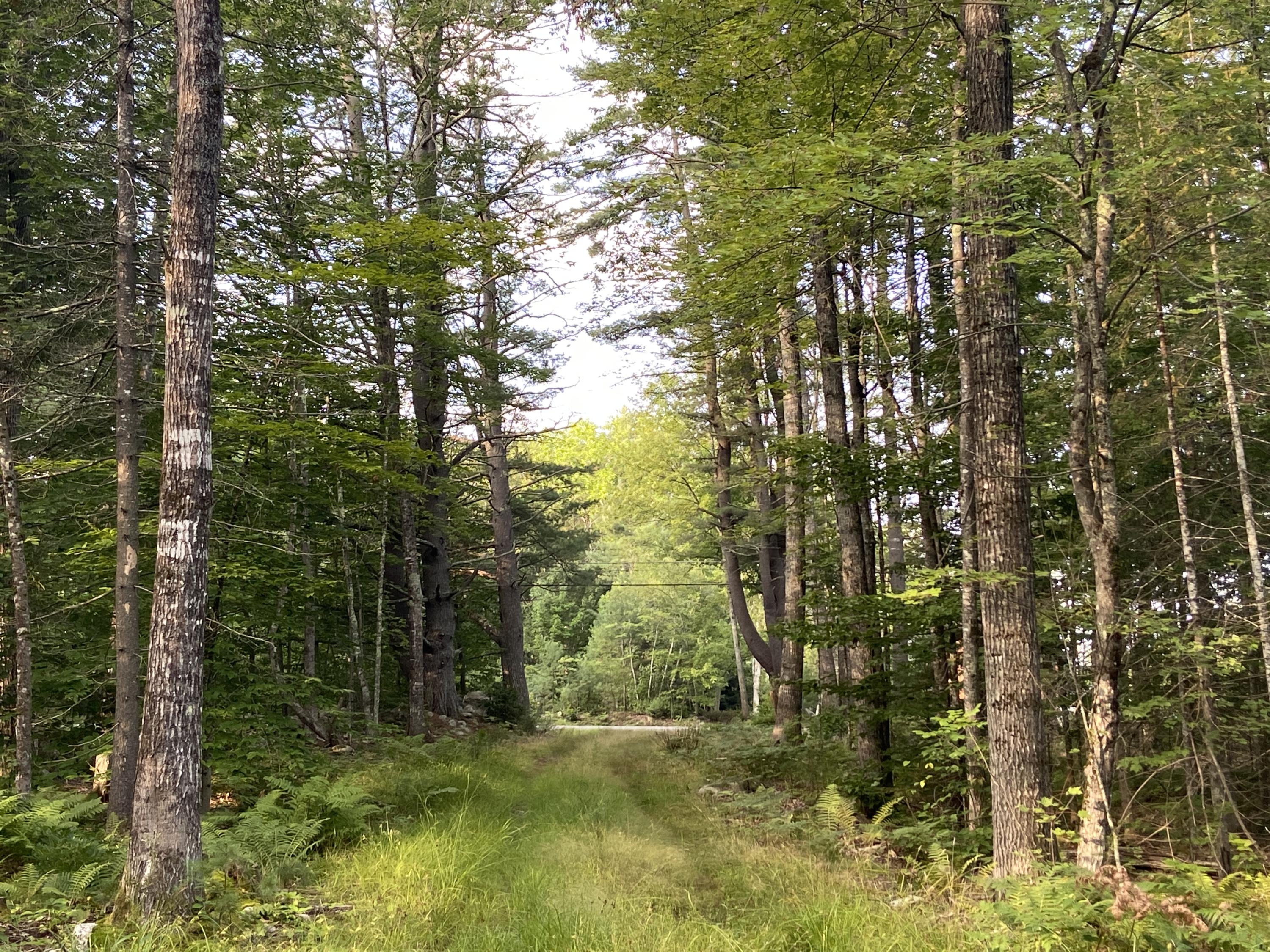 0 Naples Road Harrison, ME 04040 - Photo 5 of 12 DD7E62BD-C24B-4491-940C-F5622968732D