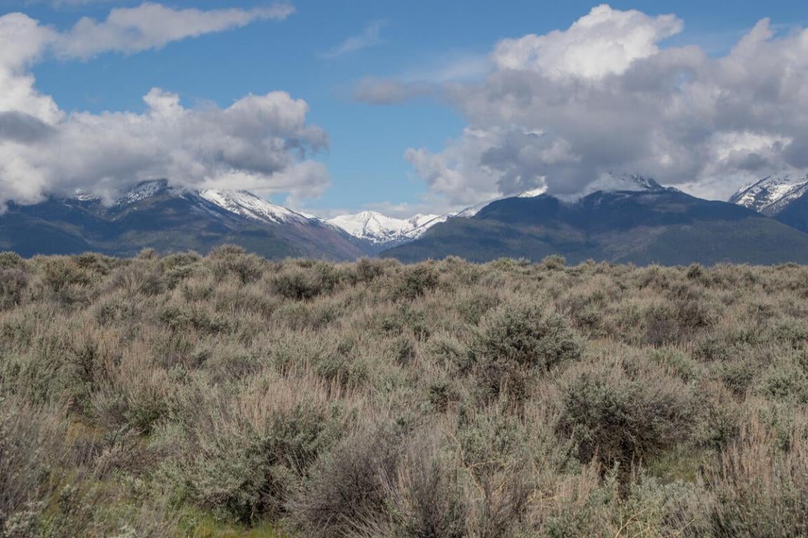 3849 Reed Butte Road Stevensville, MT 59870 - Photo 1 of 1 Gallery Image 1
