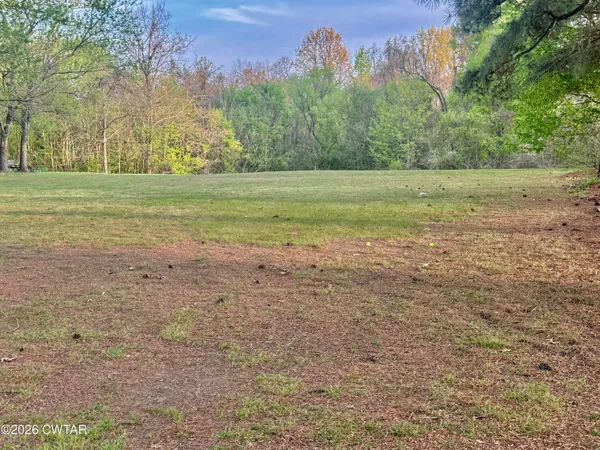 a view of a field with trees in the background