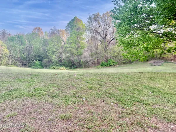 a view of a field with an trees