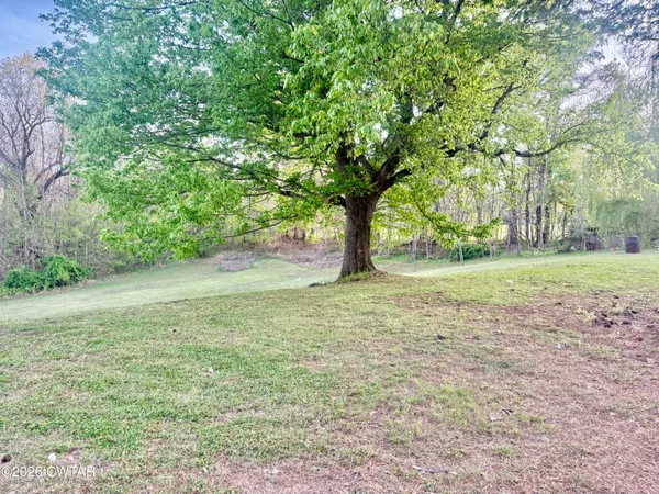 a view of a yard with a tree