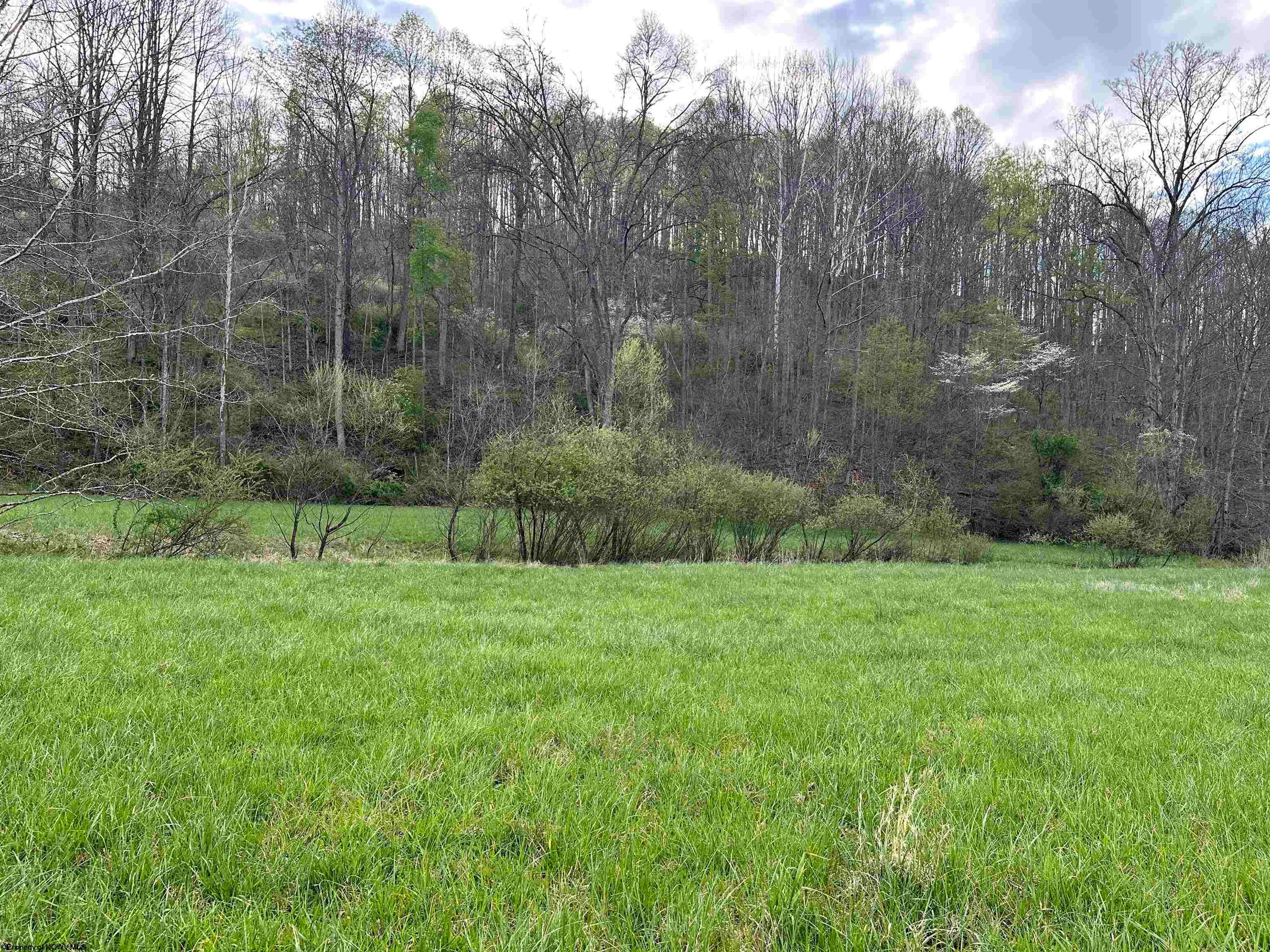5601 Clover Fork Road Orlando, WV 26412 - Photo 37 of 44 Gallery Image 37