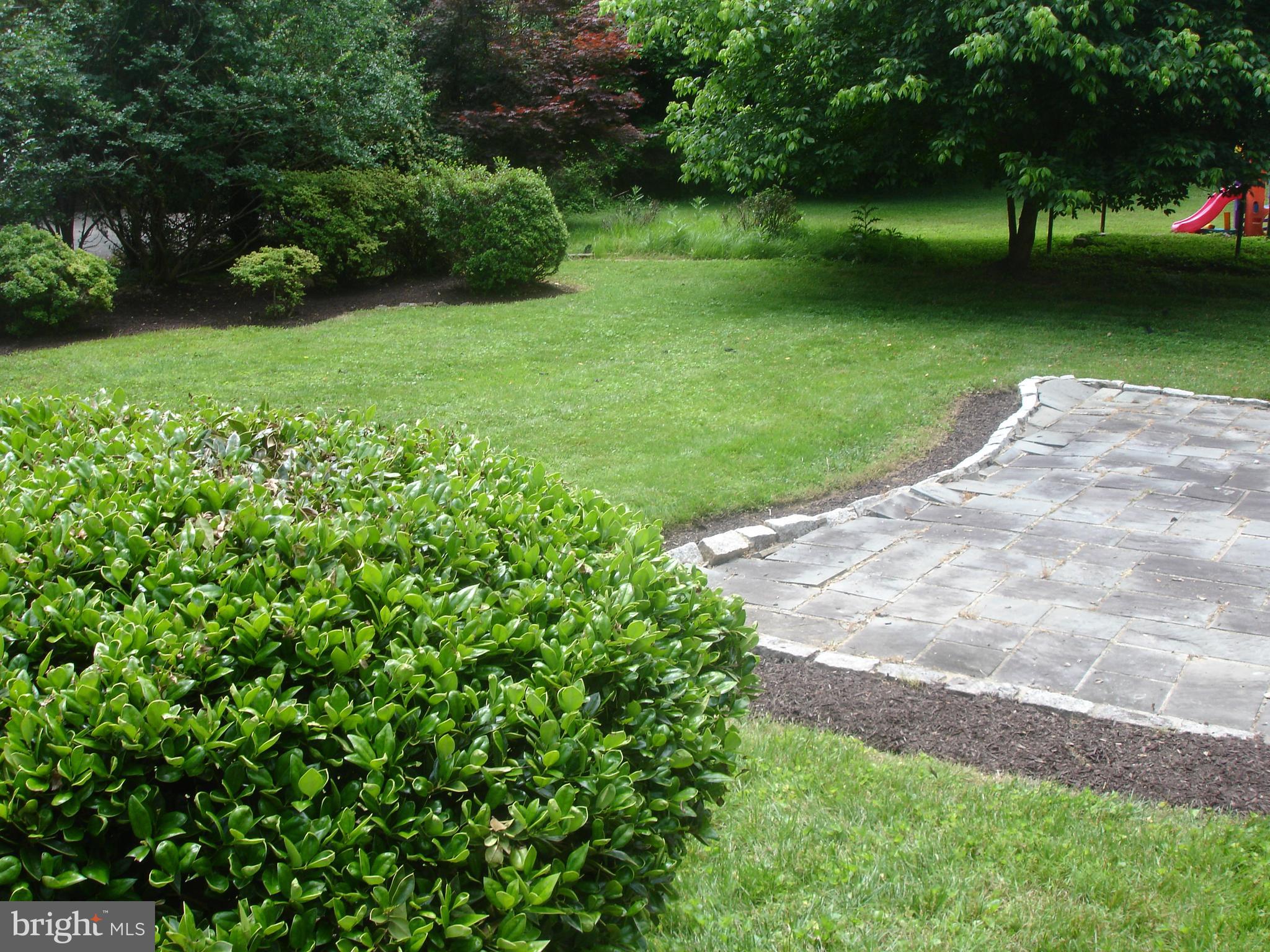 9519 Falls Road Potomac, MD 20854 - Photo 19 of 22 rear yard