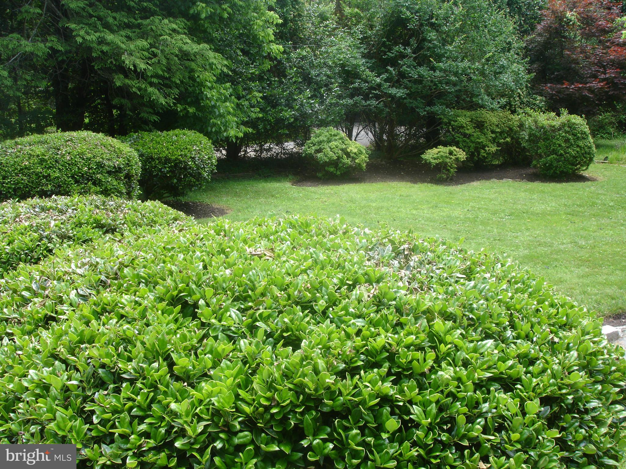 9519 Falls Road Potomac, MD 20854 - Photo 20 of 22 rear yard