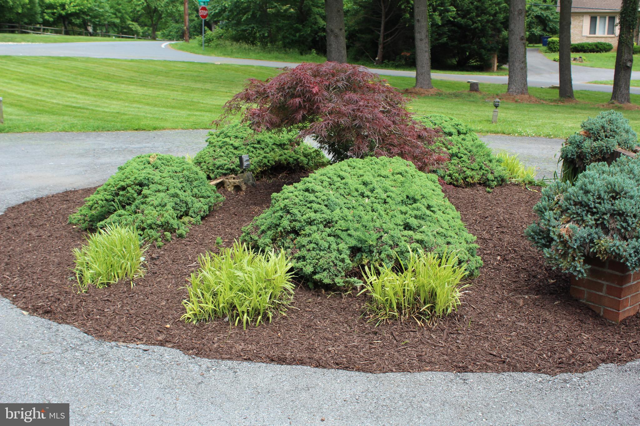 9519 Falls Road Potomac, MD 20854 - Photo 4 of 22 front landscape