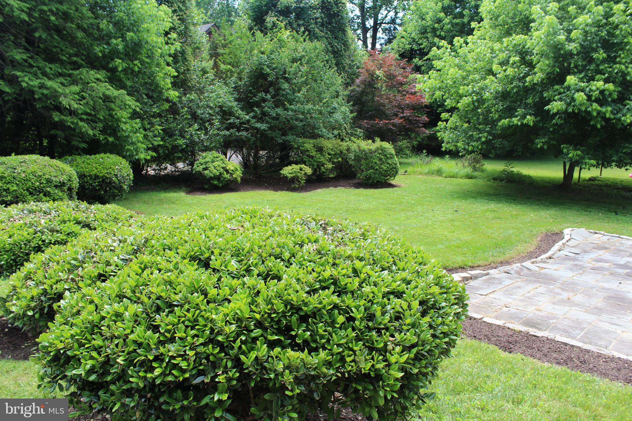 9519 Falls Road Potomac, MD 20854 - Photo 5 of 22 rear landscape
